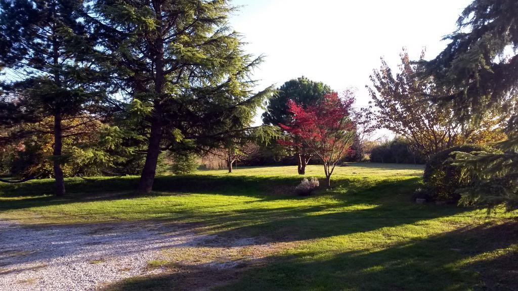 Al Campo Di Sotto Bed & Breakfast Buia Екстериор снимка